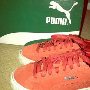 red puma creepers
